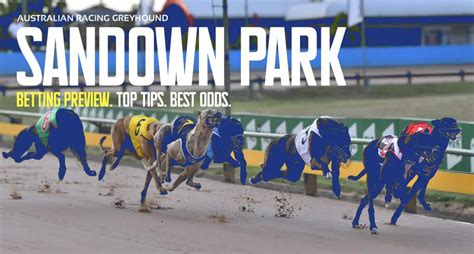 today's greyhound results racing post|Greyhound Bet .